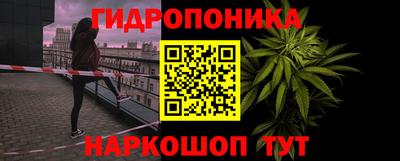PSILOCYBIN Тула