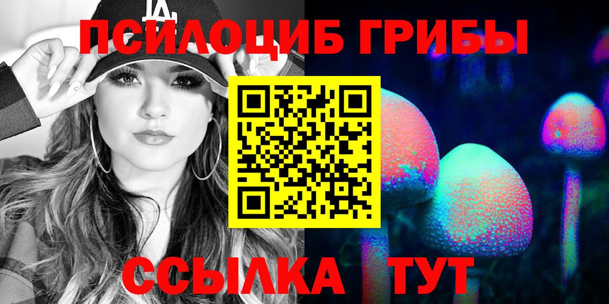 Псилоцибиновые грибы мицелий Новочеркасск