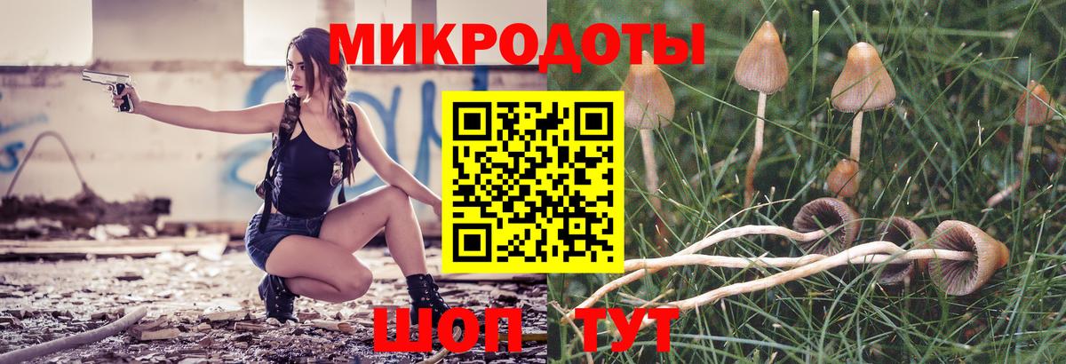Новочеркасск  Псилоцибиновые грибы MAGIC MUSHROOMS  Вход с VPN 